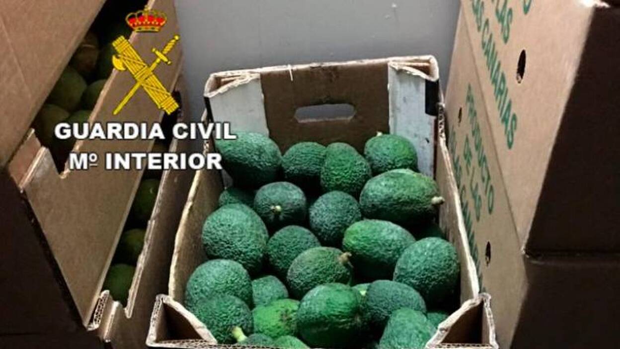 Detenidos por el robo y venta de aguacates en la isla