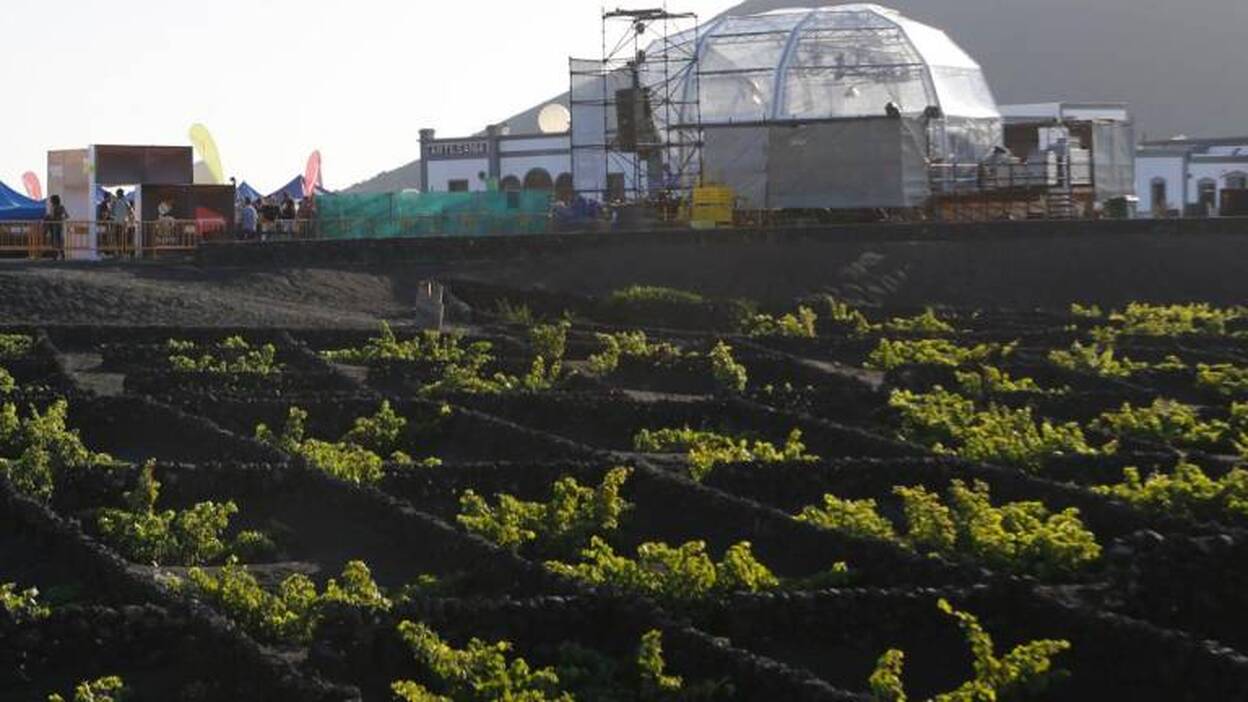 El proyecto para electrificar La Geria entra en periodo de exposición pública