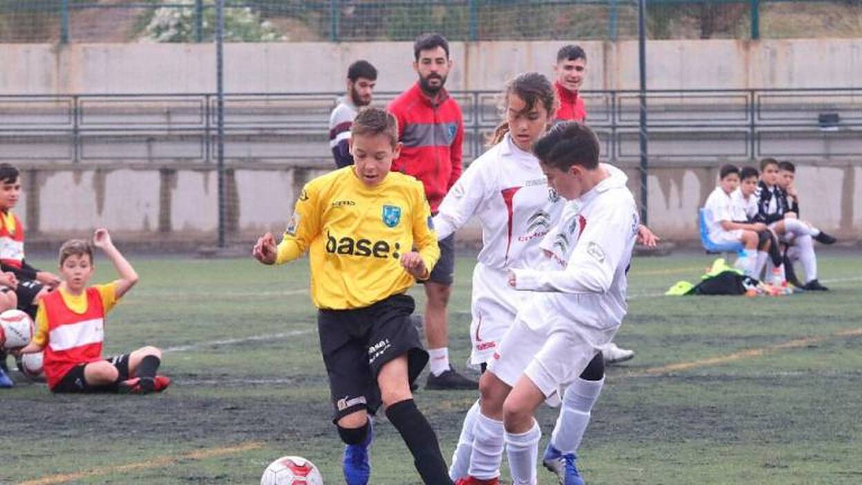 El Alcotán se deleita ante el Lomo Blanco