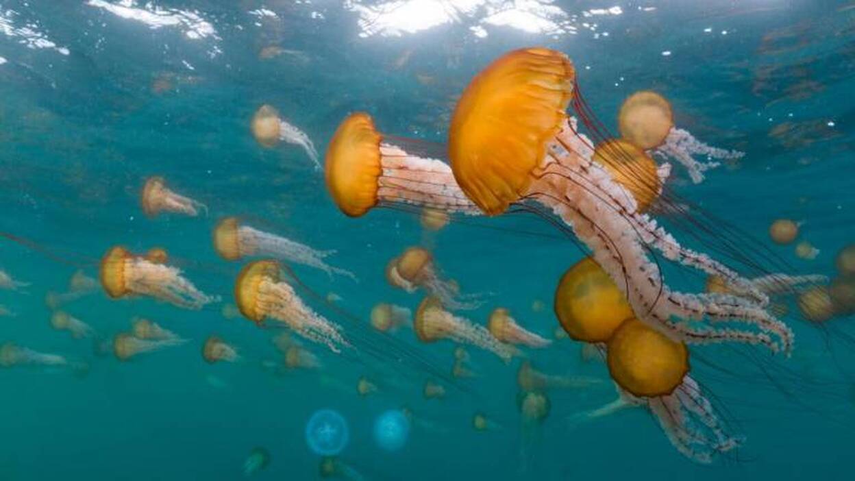 Lo mejor de la programación del día