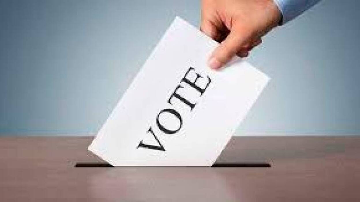 ¿Un ciudadano, un voto?