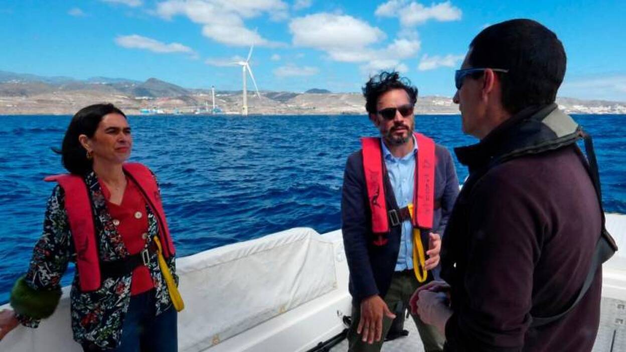 Mariscal: La energía eólica puede ayudar a reducir el efecto invernadero