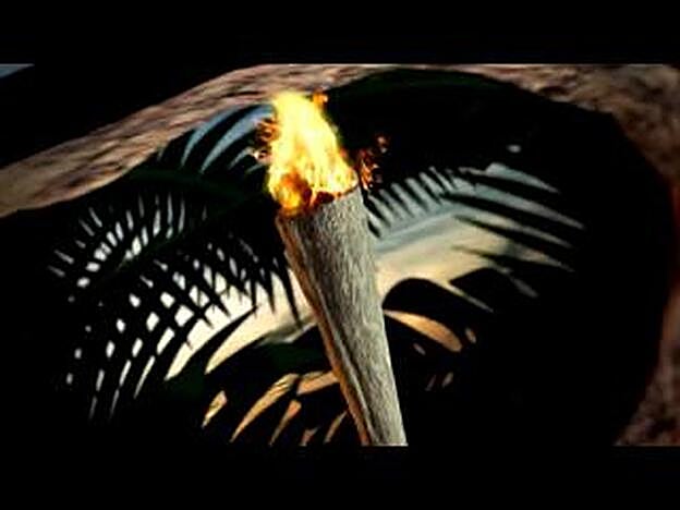 Supervivientes: hablan los concursantes