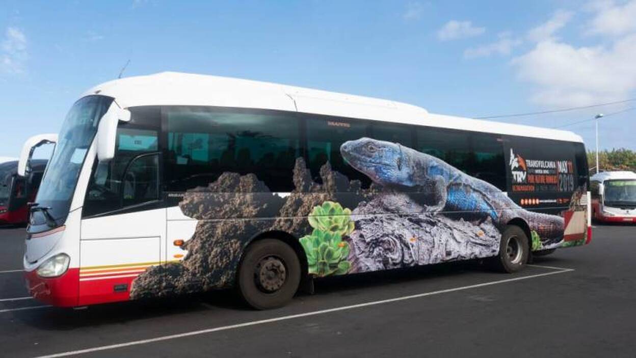 Transvulcania Naviera Armas y Transportes Insular La Palma, una alianza fundamental