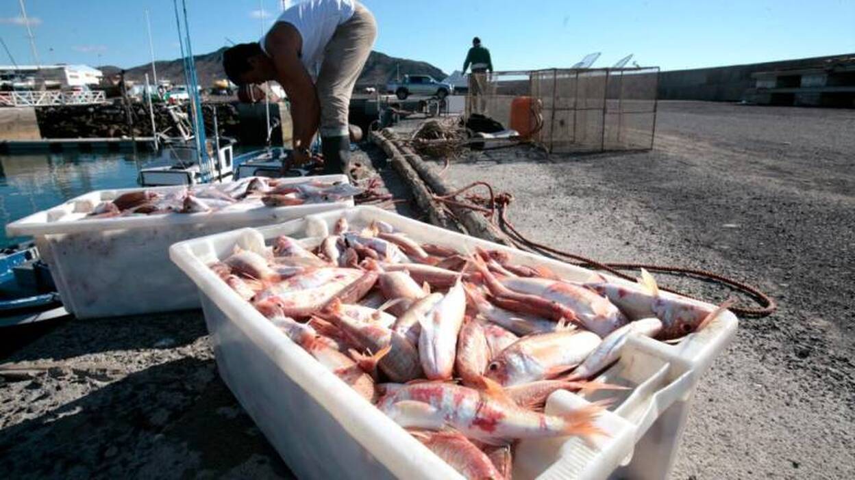 De 75 a 30 nasas en aguas exteriores