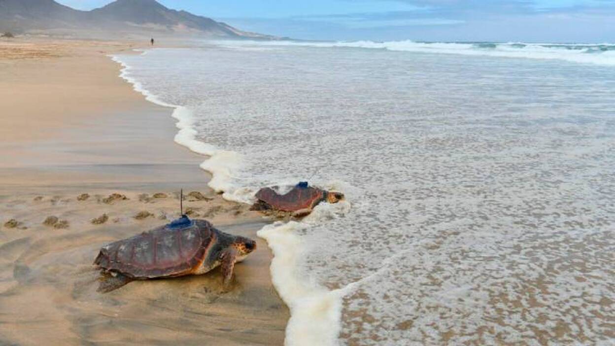 Martínez Cano,  comprometidos con el cuidado de Canarias