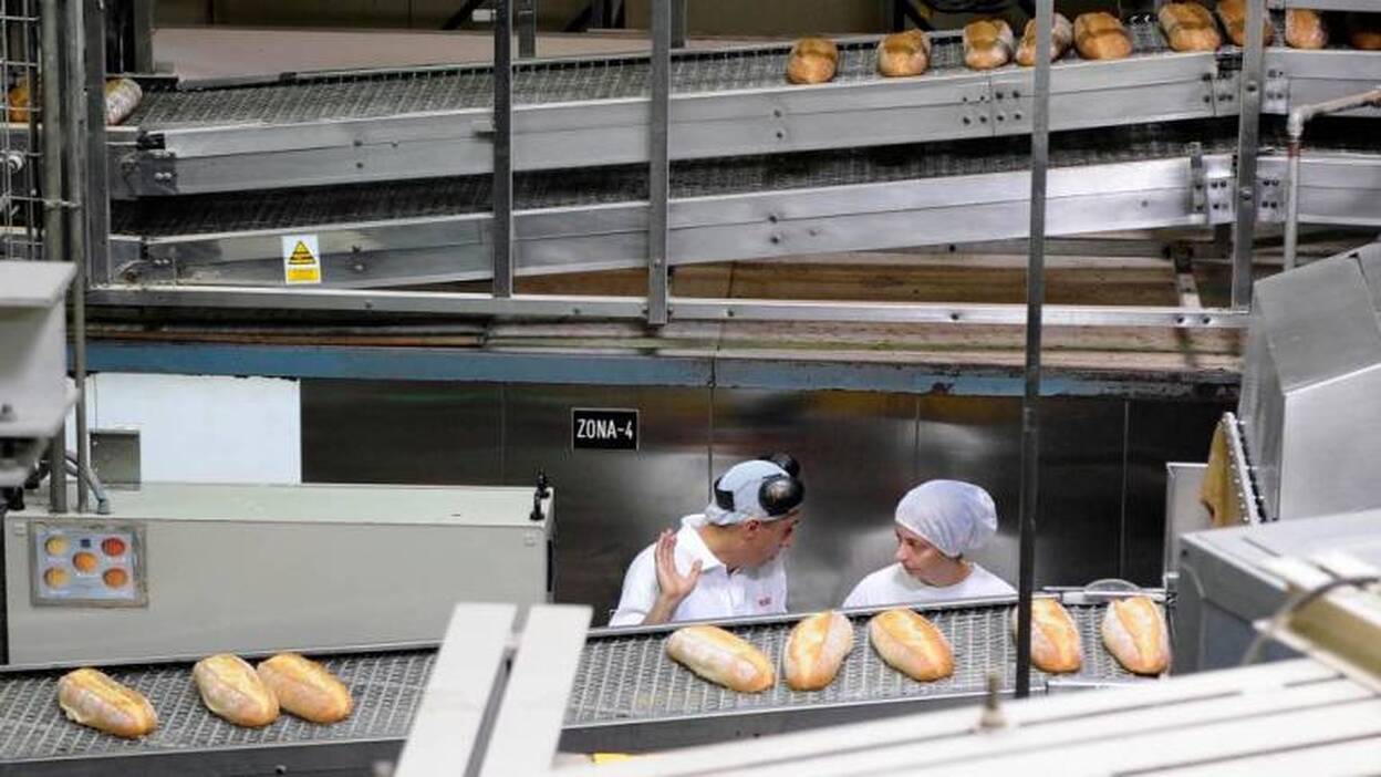 La nueva normativa acaba con el la picaresca del falso pan integral