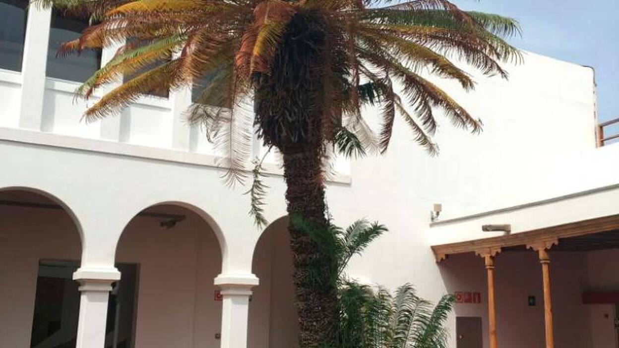 La cica centenaria del San Martín, en jaque por el Museo de Bellas Artes