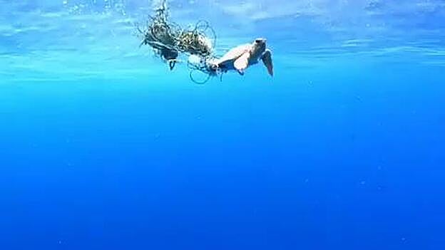 Leonardo DiCaprio denuncia el problema del plástico en Canarias