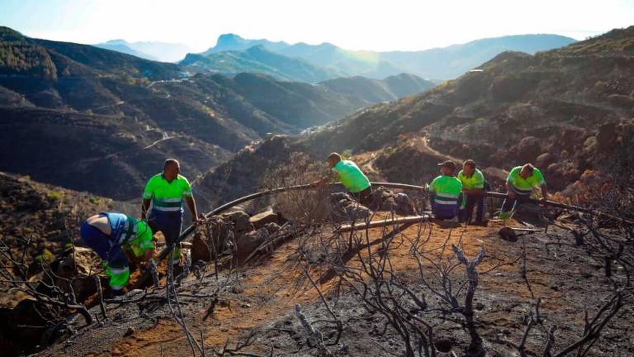 «Ahora todos son expertos; hay que ser sensatos y no criticar»