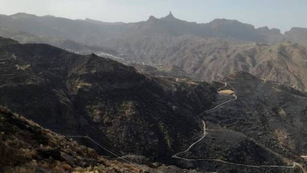 666 hectáreas devastadas