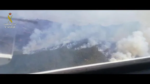 Imágenes aéreas del Pinar de Tamadaba