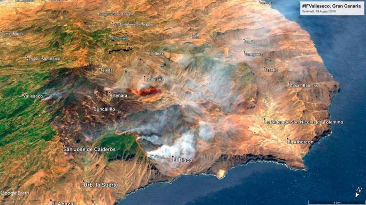 Quemadas 3.152 hectáreas de pinos