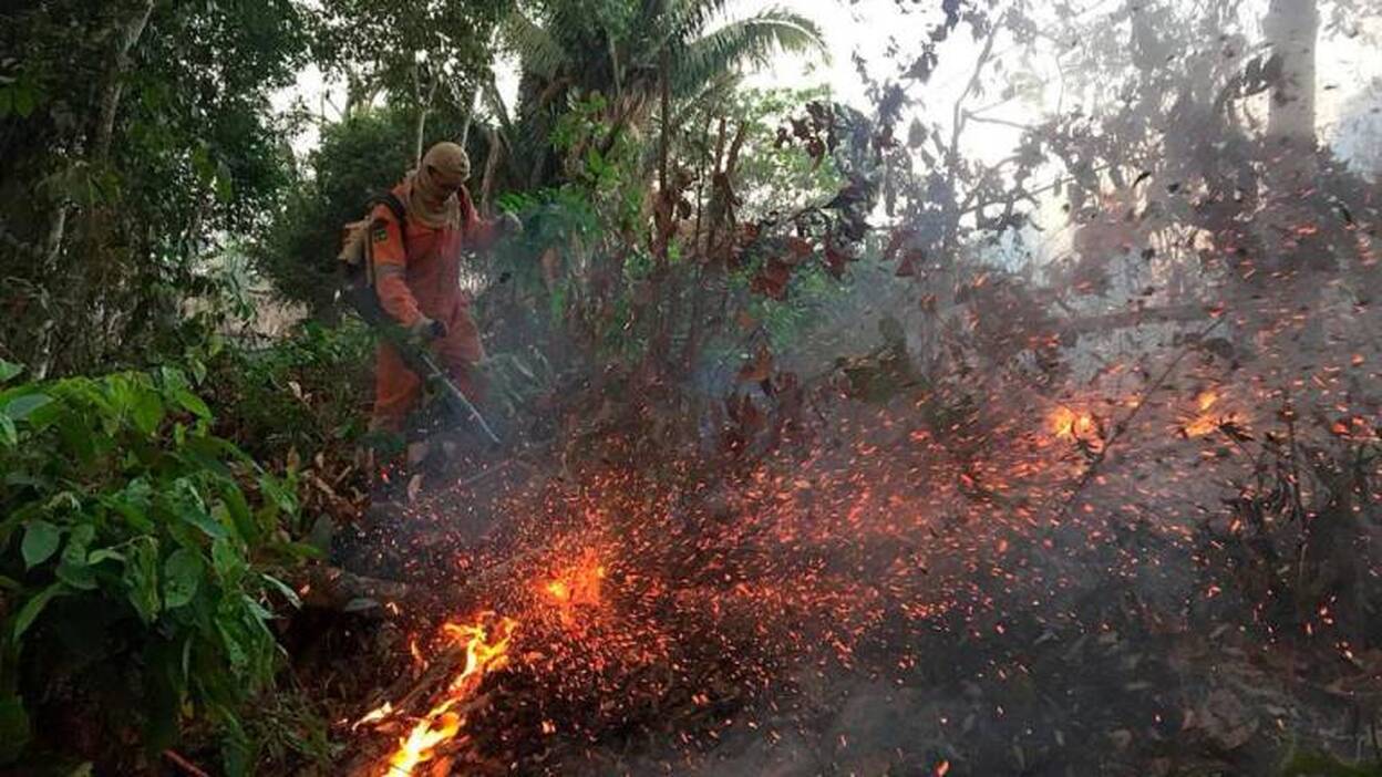 Chile, Venezuela y Argentina ofrecen ayuda a Brasil para mitigar los incendios en el Amazonas