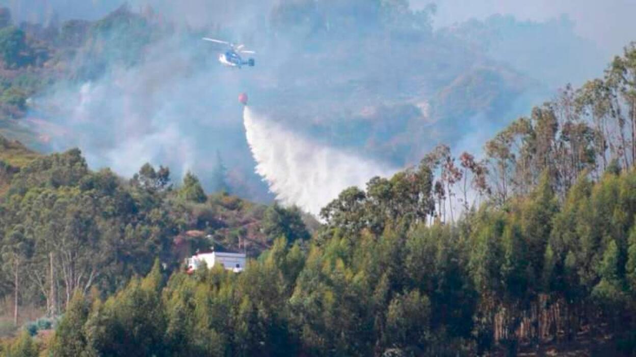 Nueva alerta por riesgo de incendios forestales