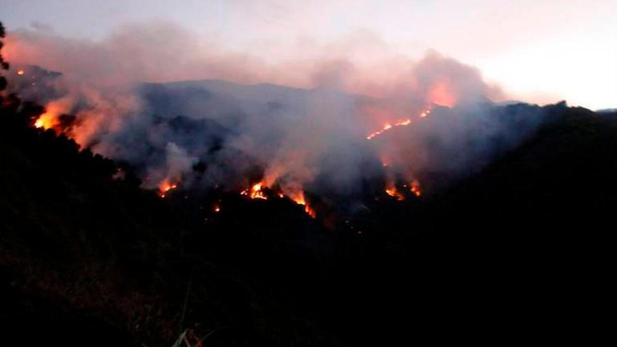 Convocan una vigilia en Cádiz por los incendios