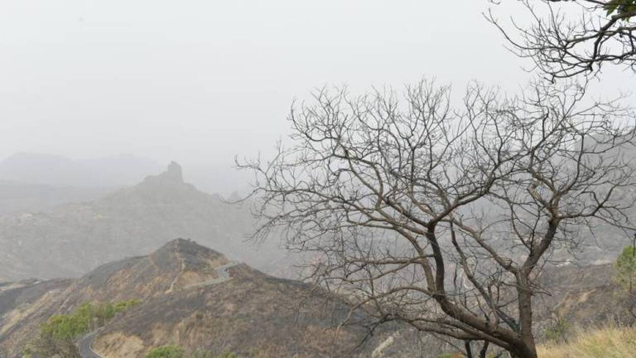 Gobierno y Cabildo analizan los daños en el sector primario de Gran Canaria