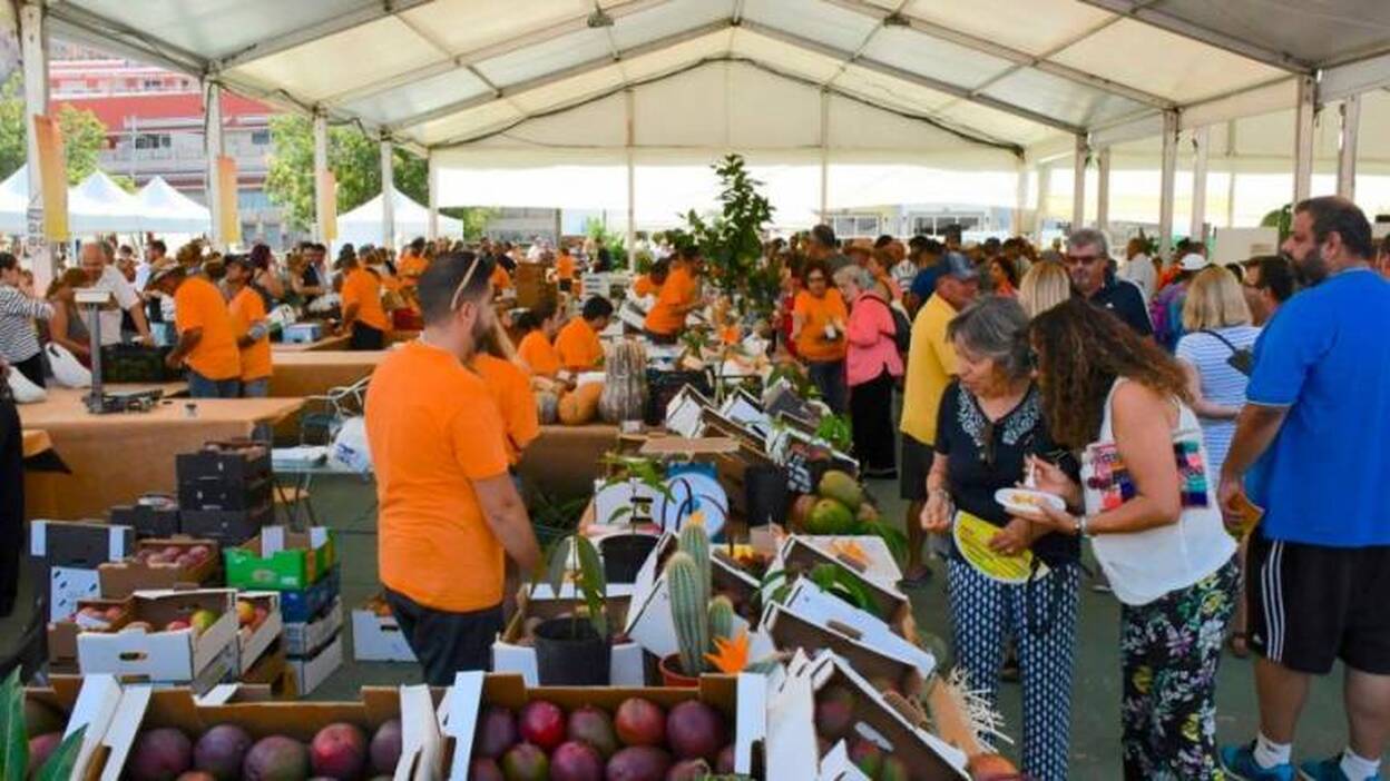 La IV Feria del Mango y el Aguacate de Verano de Mogán contará 8 toneladas