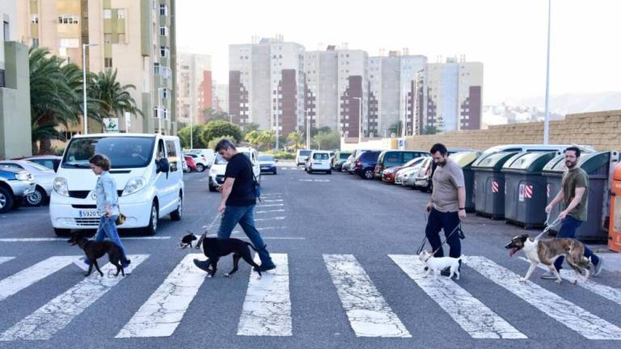 Impuesto de 9 euros por cada perro censado en Zamora