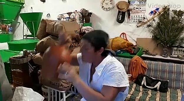 Agüimes rememora la molienda del millo