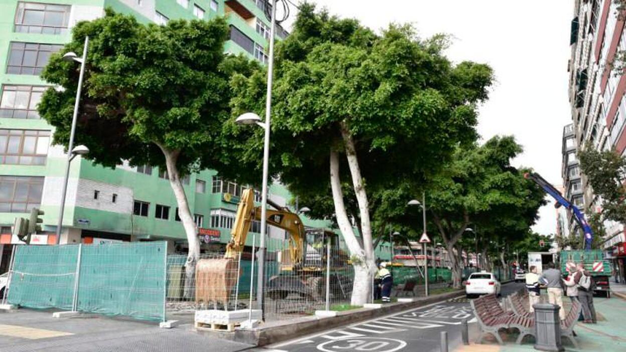 Se abre otro tramo a los peatones en Mesa y López