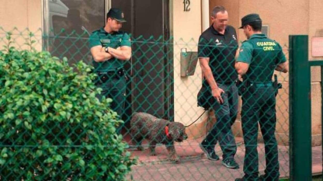 Muere Marley, el perro de la Guardia Civil que buscó al niño Gabriel