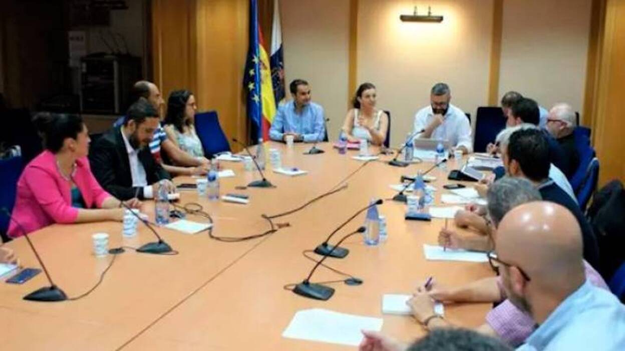 Al menos cuatro años para acabar con las termitas