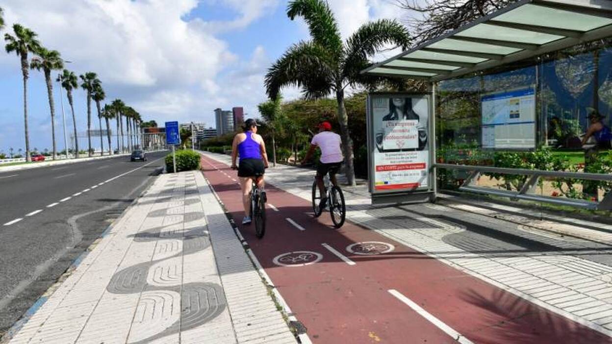 «Si no se modifica la movilidad, el verde no tendrá penetración»