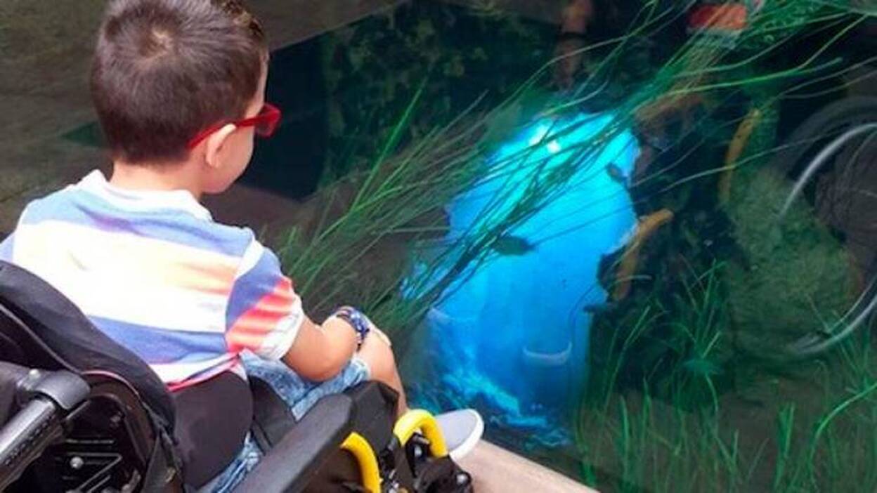Un niño con parálisis cerebral lleva un mes sin poder ir al colegio