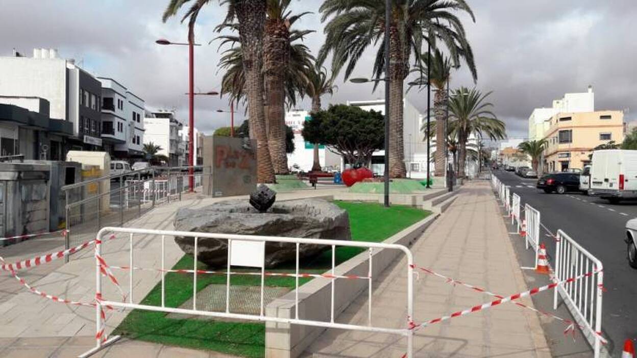 La capital evalúa el estado de sus palmeras para prevenir siniestros