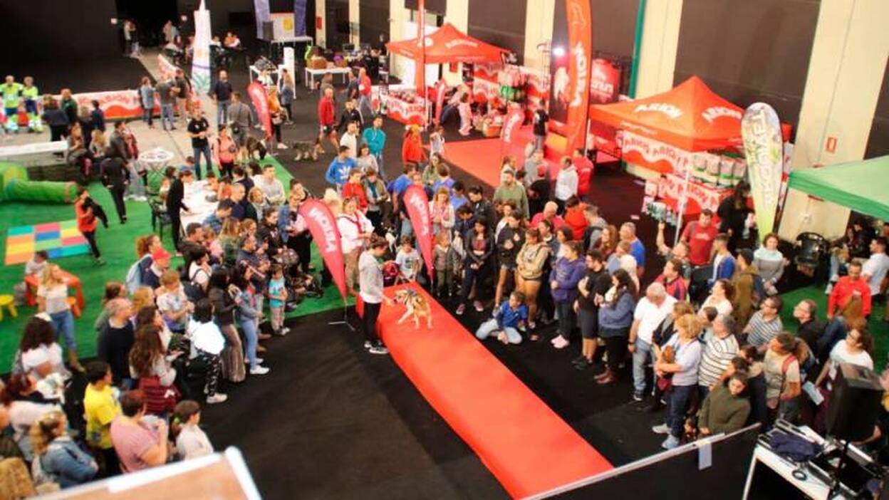 3.000 personas en Amigo Can LPGC