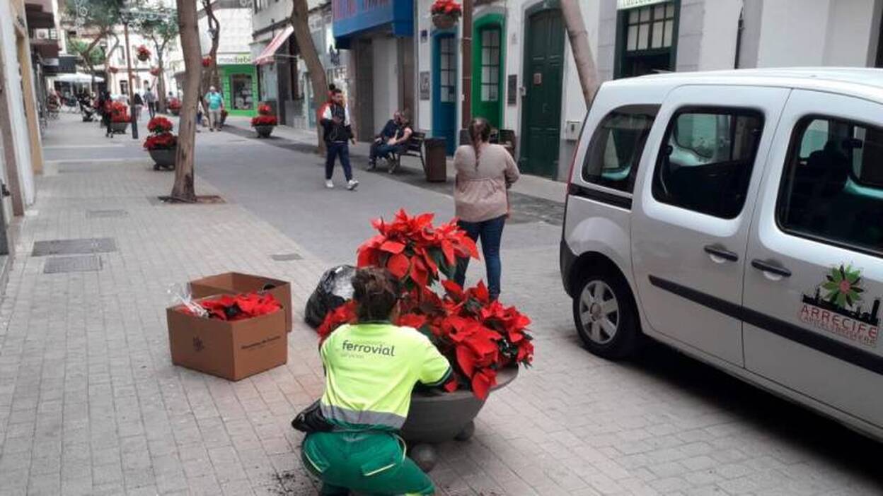 Contra el vandalismo, más flores de pascua