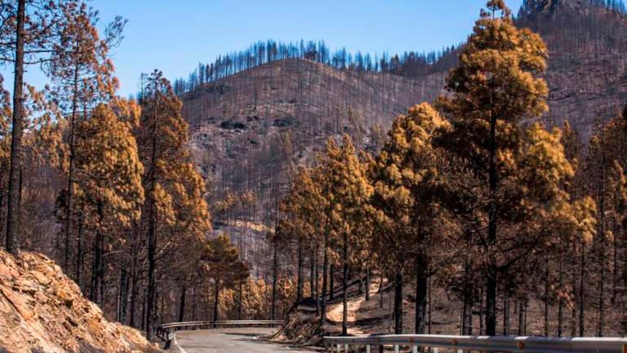 La Fiscalía cita a los responsables de la Heredad de Arucas por el incendio de Valleseco