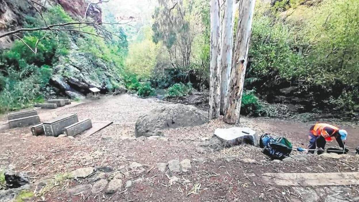 El consistorio de Moya se esfuerza por mantener limpio el barranco de Azuaje