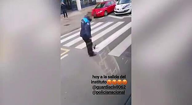 Un agente, a patadas con un gato recién atropellado