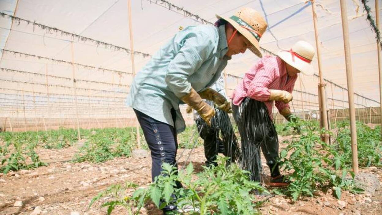 Los agricultores también saldrán a la calle en Gran Canaria en marzo