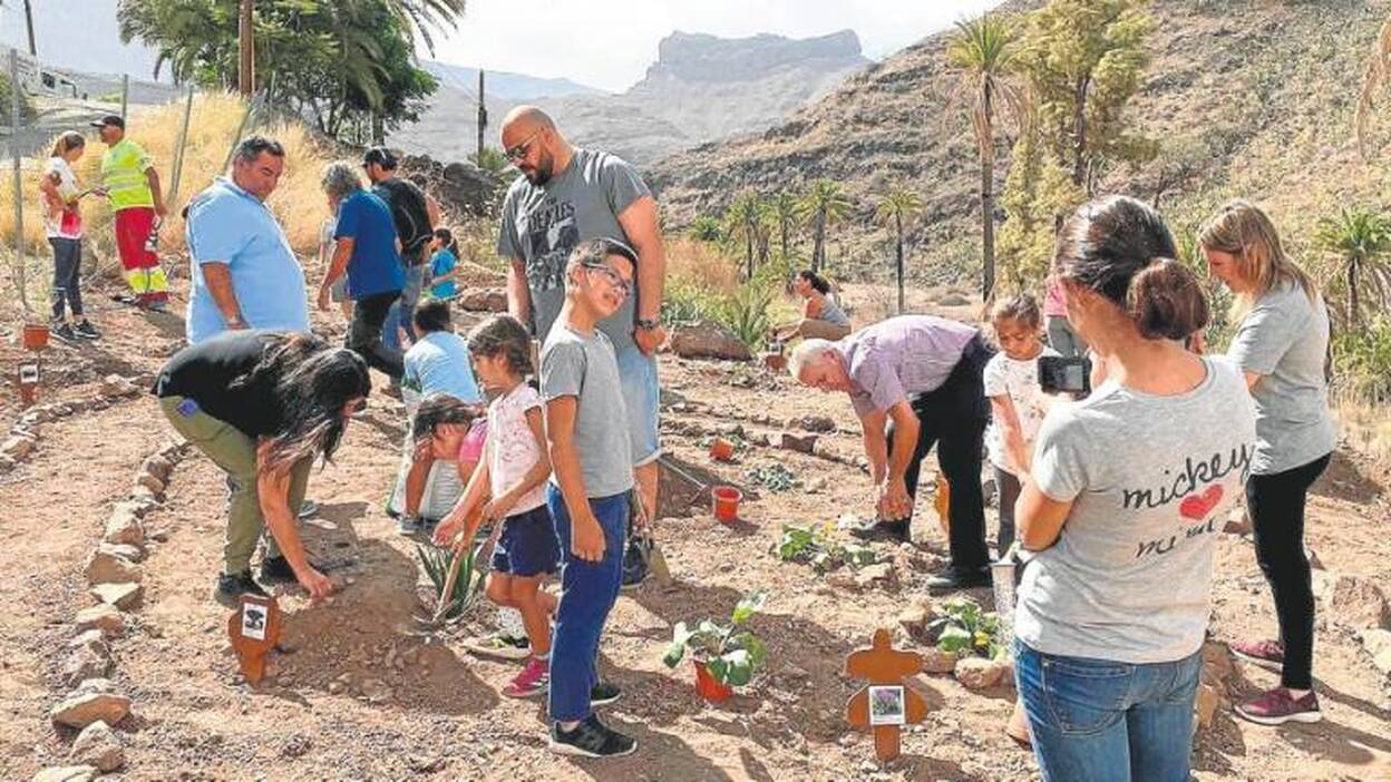 Cuidando de la flora autóctona