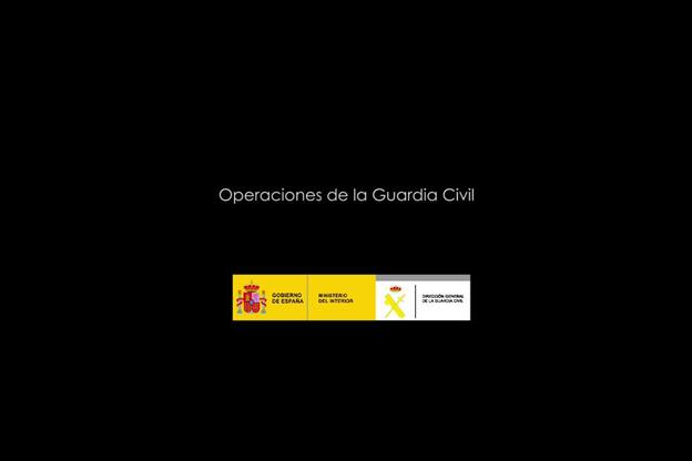 Detenida la dueña de una protectora de animales por la muerte de casi 500 animales