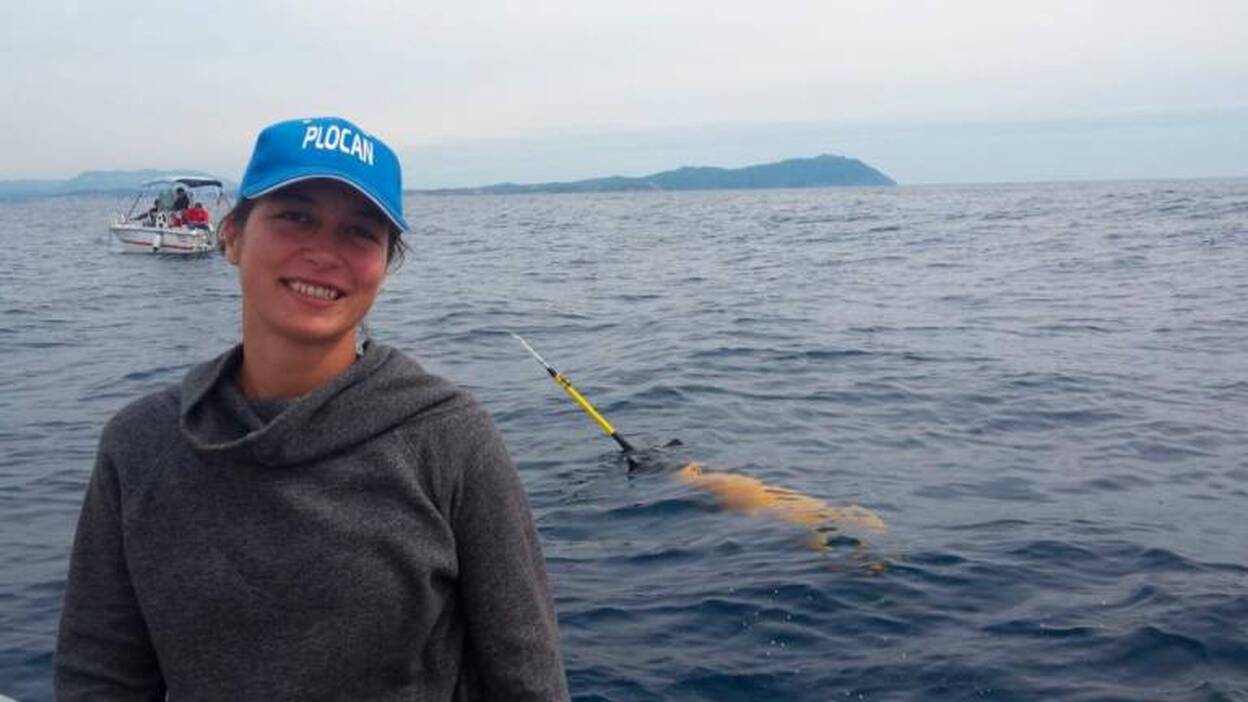 Plocan, un puerto de ‘gliders’