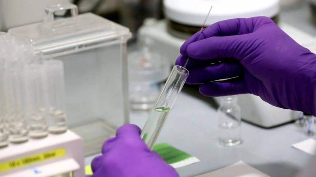 Torres espera «muy pronto» los kits para hacer pruebas masivas