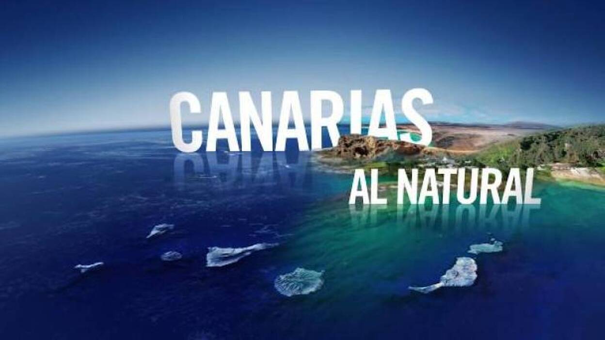 Contenidos educativos en Televisión Canaria