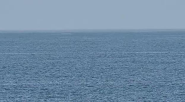 Rorcuales tropicales en la costa de Arucas