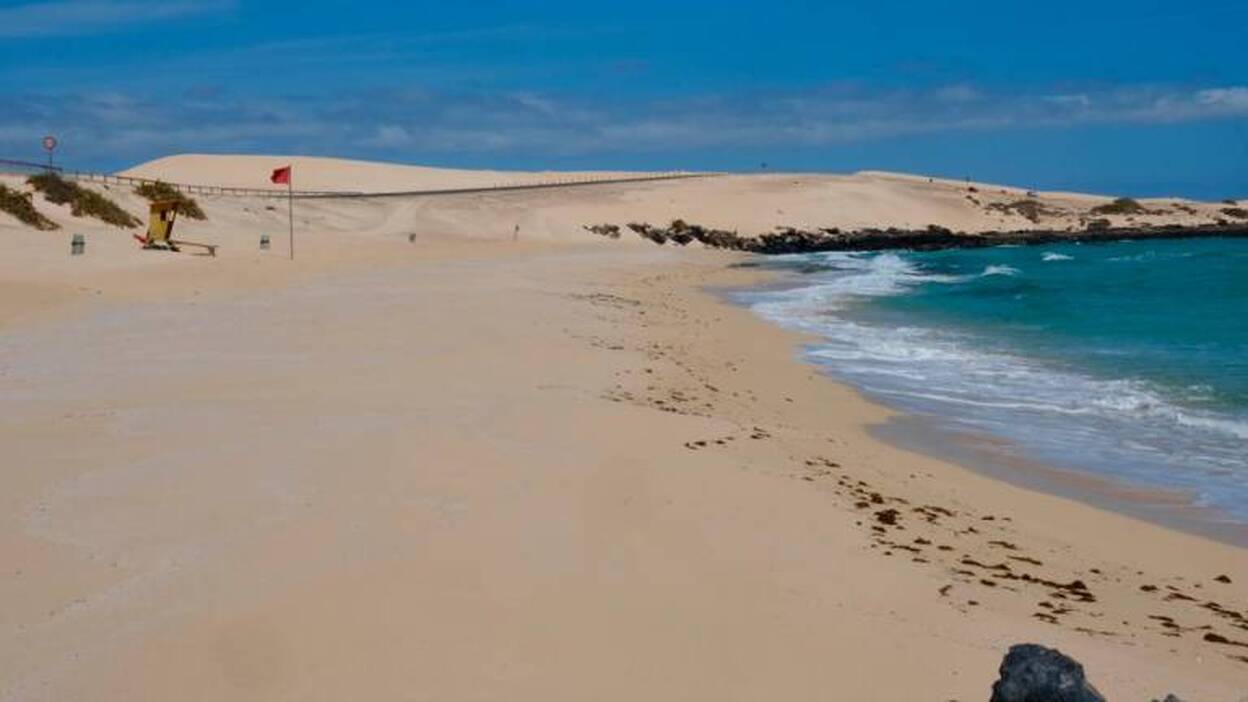El jable vuelve a las dunas de Corralejo