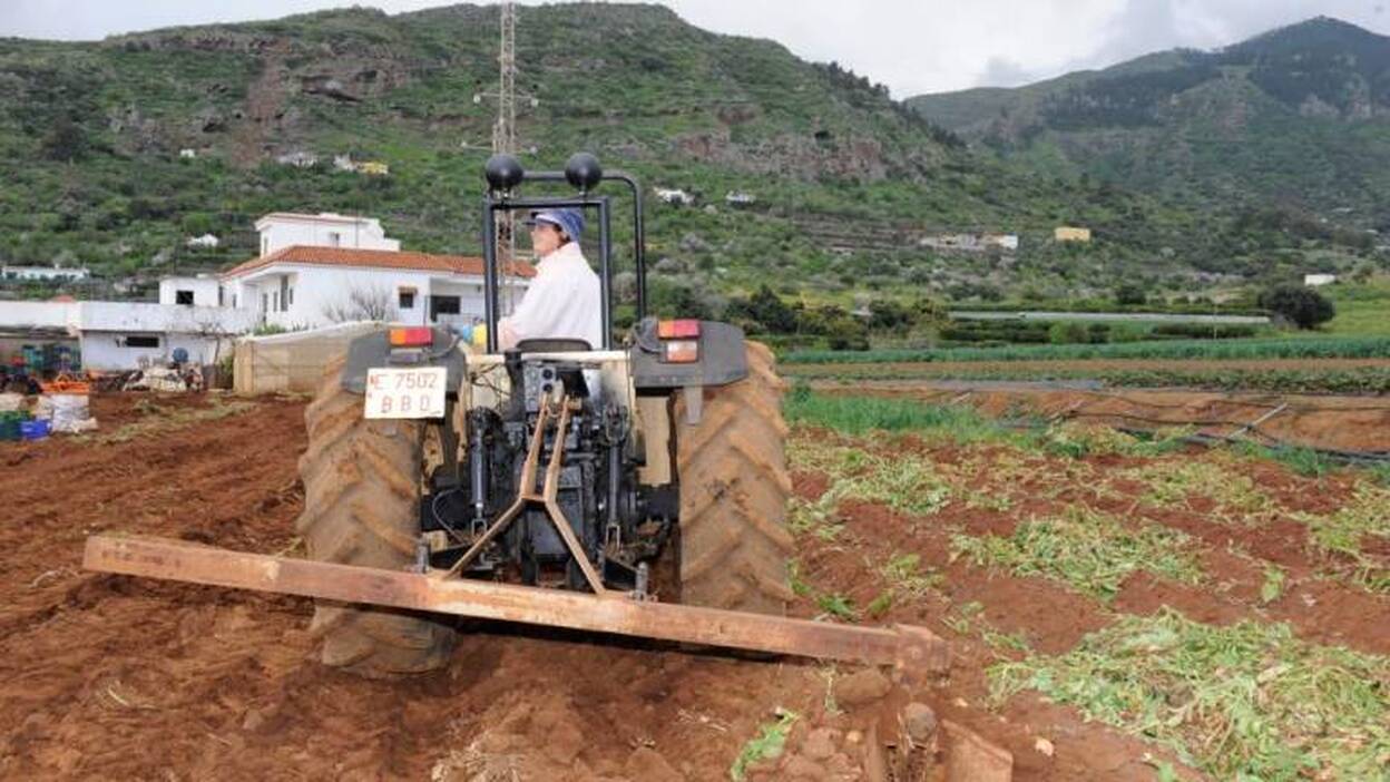 El cabildo ayuda al sector primario a vender sus excedentes