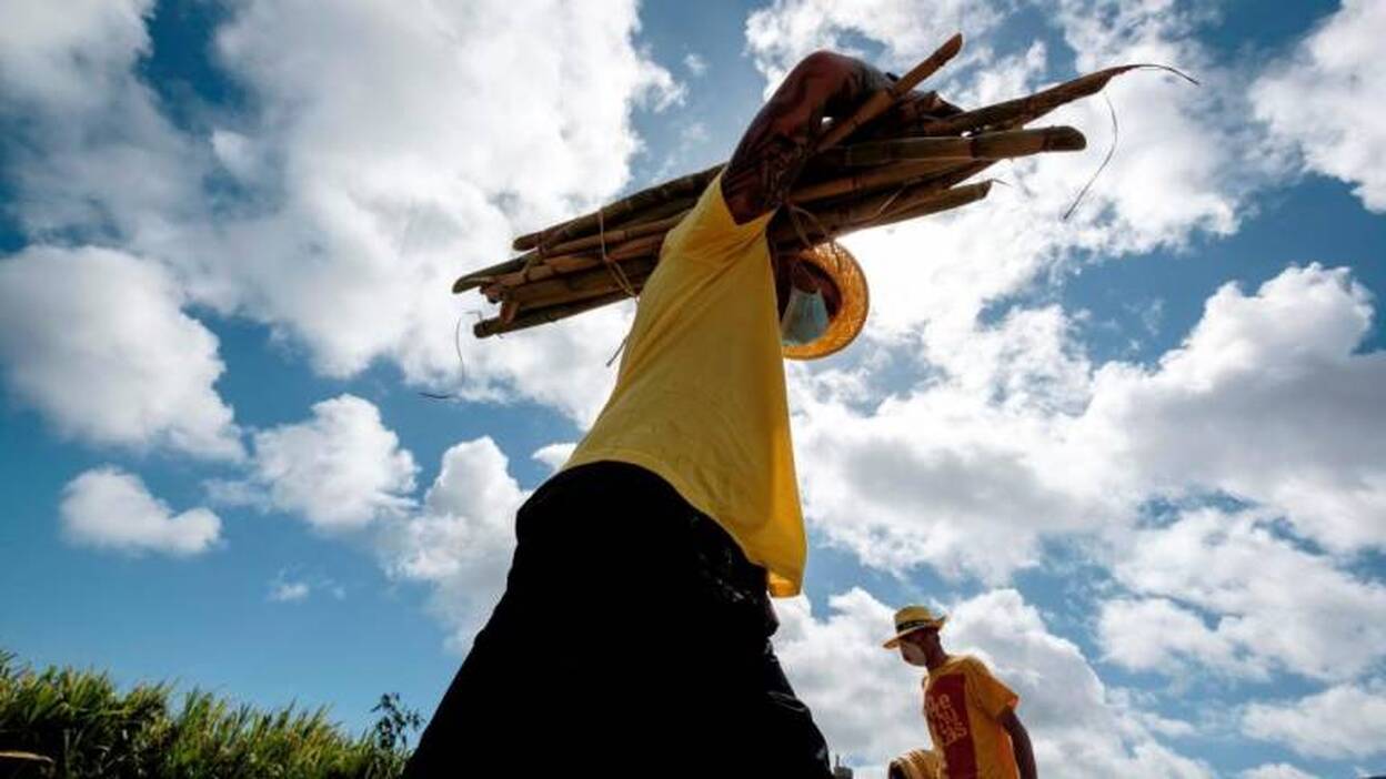 Regresa el olor a caña: vuelve Arehucas