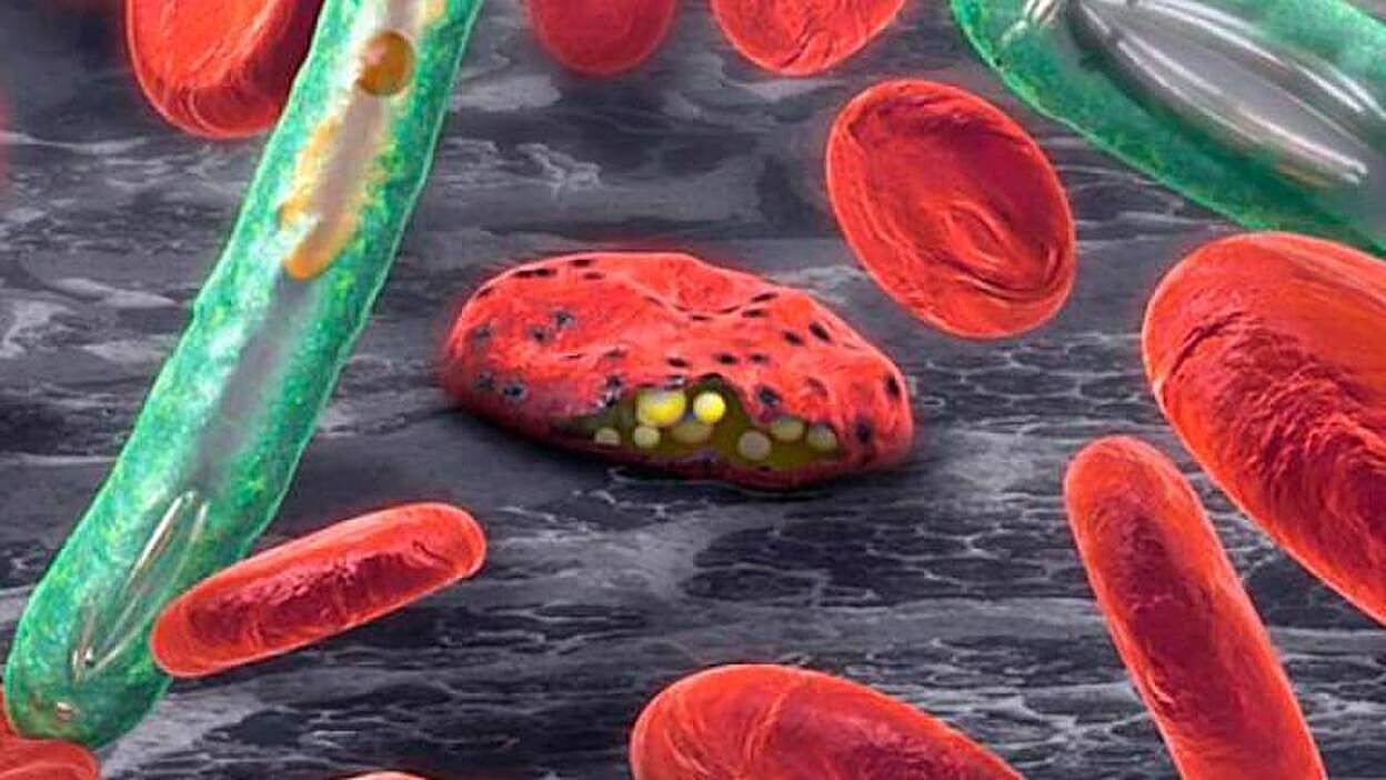 Sanidad ofrece más datos sobre el coronavirus en Canarias