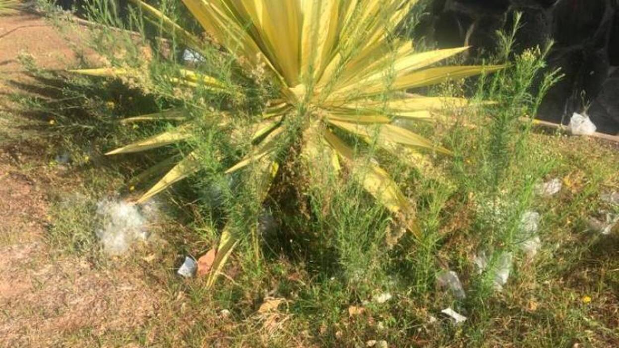 Mascarillas y guantes, al contenedor gris