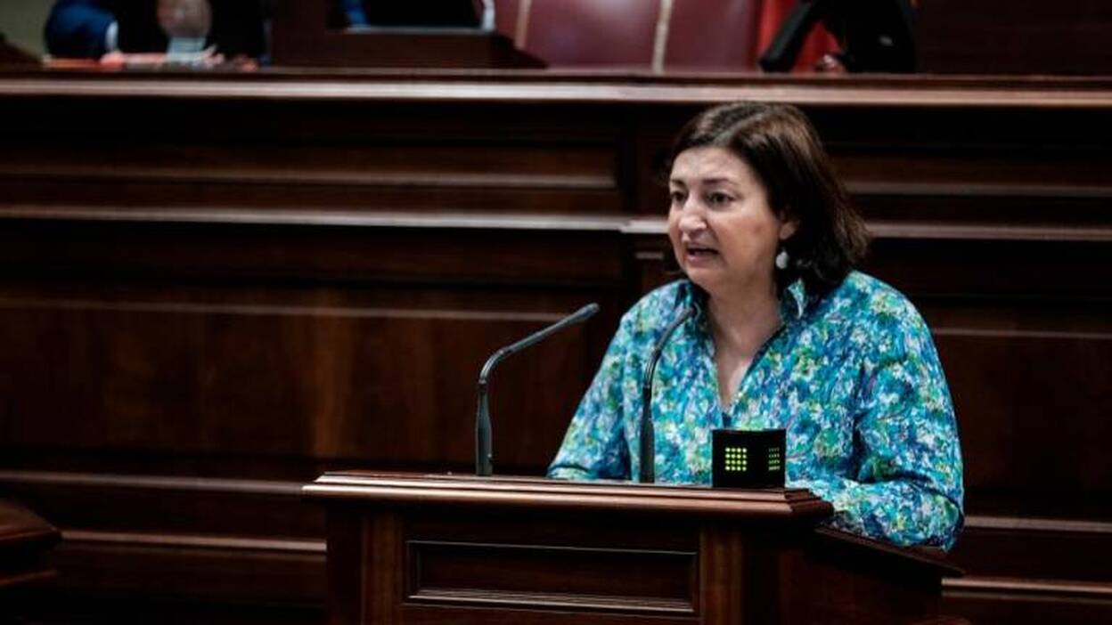 En lugar de carne y hueso, cartílago