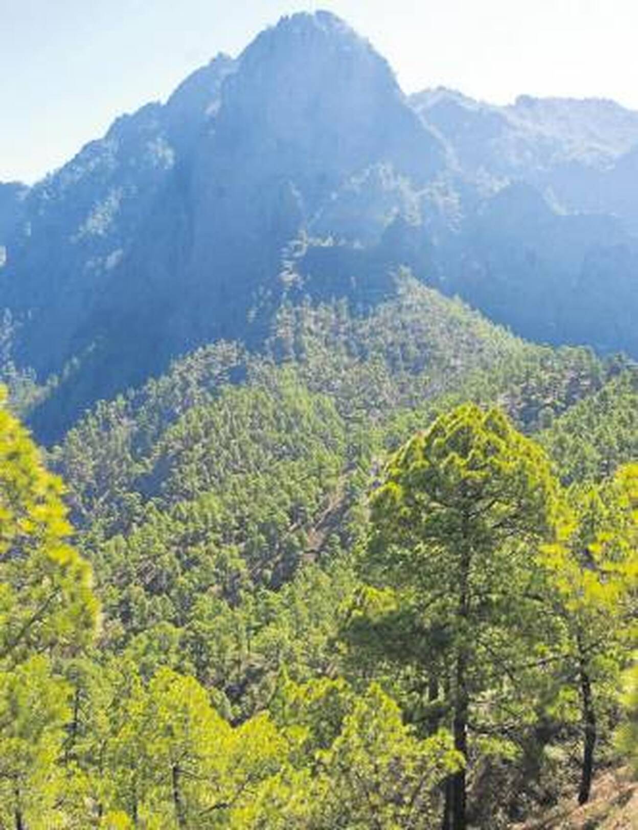 Volcanes, bosques, playas y cielos únicos