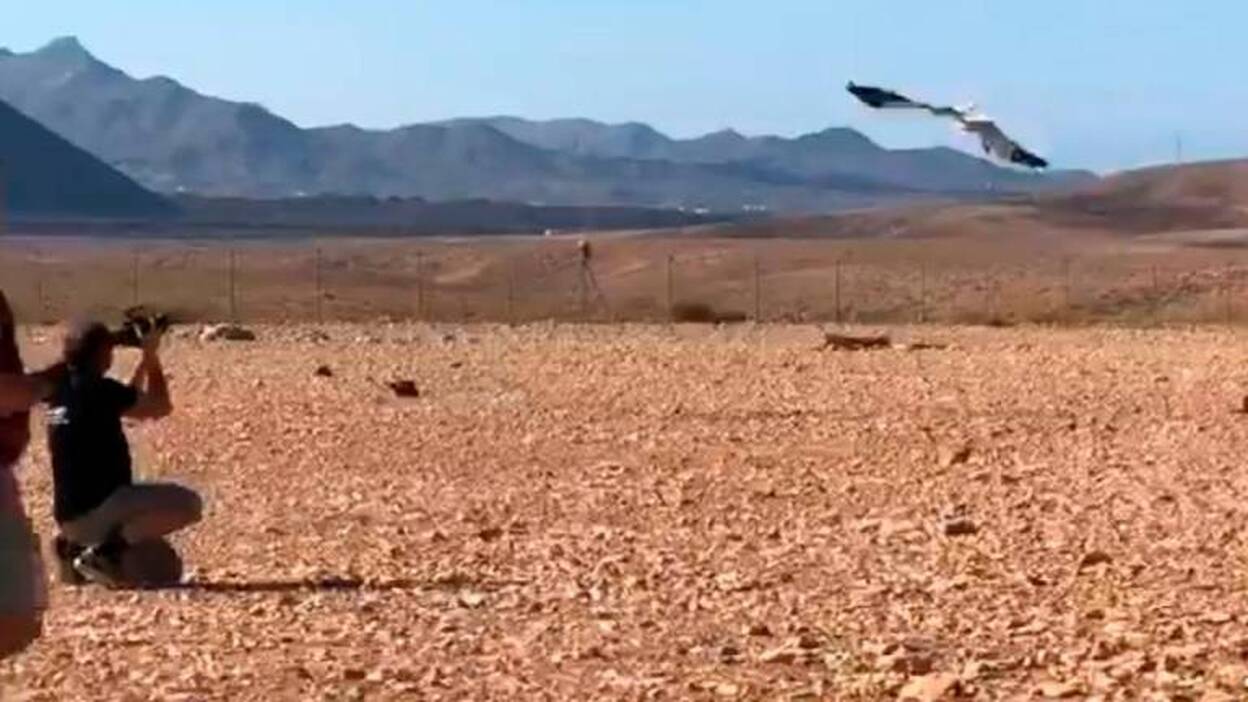 La superviviente ‘Butihondo’ alza el vuelo